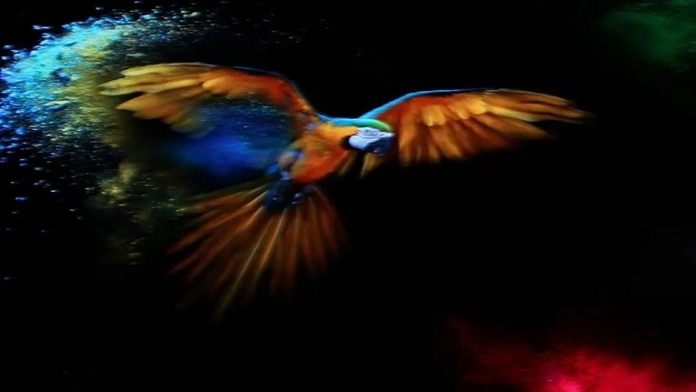 Small pitch LED display