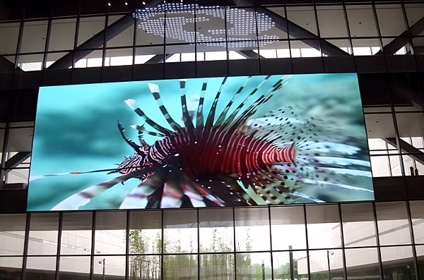 Analysis of the Advantages of Black LED, Compared with White LED