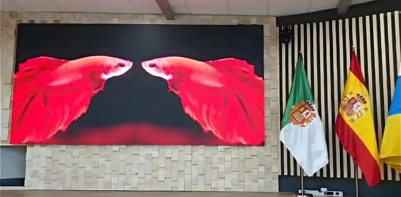 Che cosa è il display LED MiP