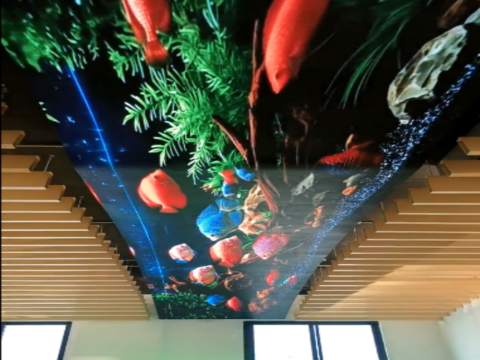 Premteco  P2.5 Flexible LED Display in Saudi Arabia