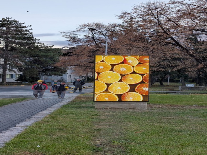 Kuzey Makedonya'da Premteco P3.91 Dış Mekan LED Ekran Afişi