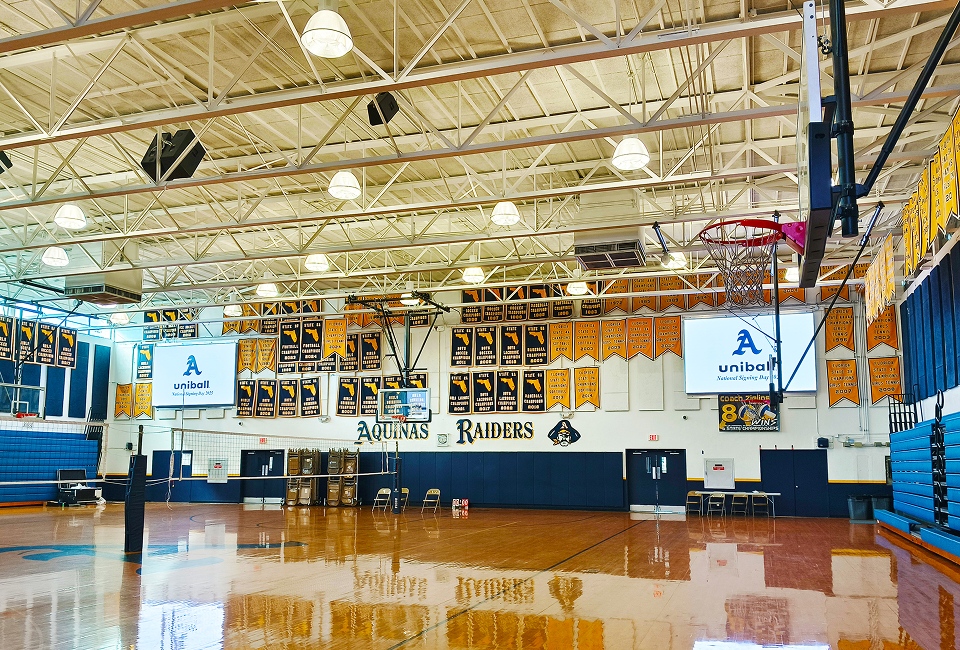 Sports Display Solution