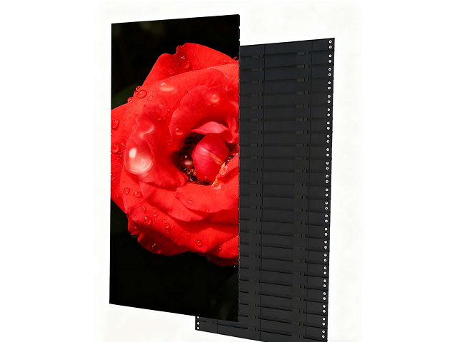 Pantalla LED enrollable